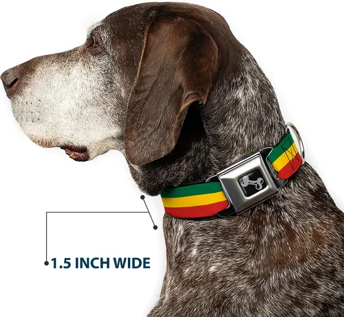 Vista 7 de Buckle-Down Collar de perro con hebilla para cinturón de seguridad, 1 pulgada de ancho, se adapta a cuello de 9 a 15 pulgadas, pequeño