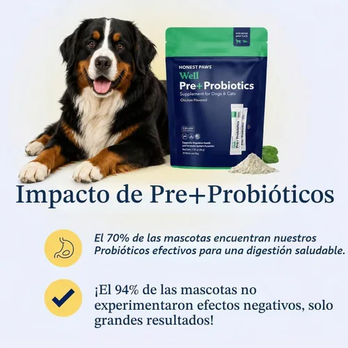 Vista 9 de Honest Paws - Probióticos para Perros - Polvo de Apoyo Digestivo e Inmunológico con Prebiótico Hecho en EE. UU., Sabor a Pollo (30 Sticks)
