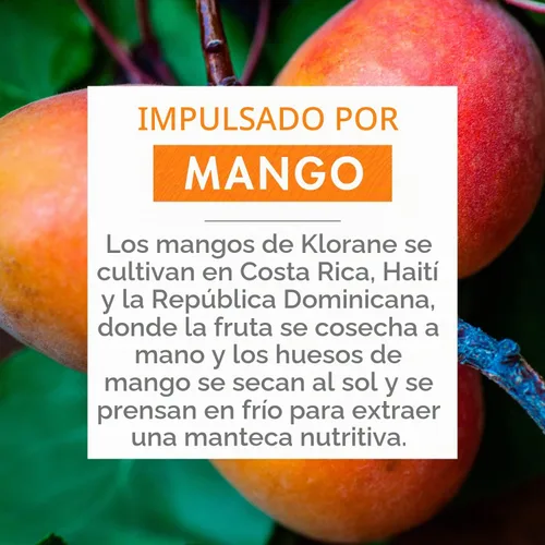 Vista 3 de Klorane Champú Nutritivo con Mantequilla de Mango 13.5 oz