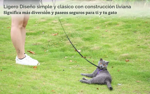 Vista 3 de AMAGOOD 6 pies de correas para cachorros/perros, correa de estilo tradicional resistente con gancho de cuello fácil de usar, correa para perros Negro