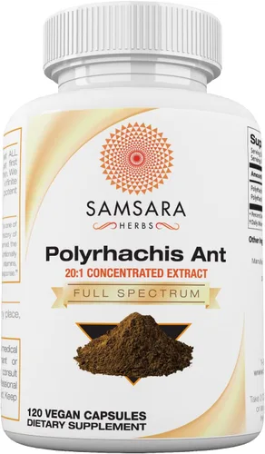 Vista 4 de Samsara Herbs Polyrhachis Black Ant Extract Powder - Extracto concentrado 20:1 (4 oz/114 g)
