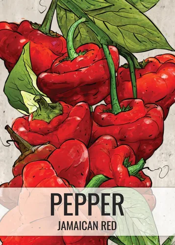 Vista 51 de Seed Needs - Semillas de pimiento arcoíris para plantar verduras, 1 paquete