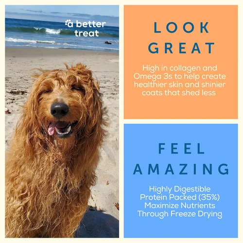 Vista 3 de A Better Dog Food Alimento seco para perros con pollo Crudo que puedes ver croqueta alta en proteínas + alimento crudo liofilizado para perros