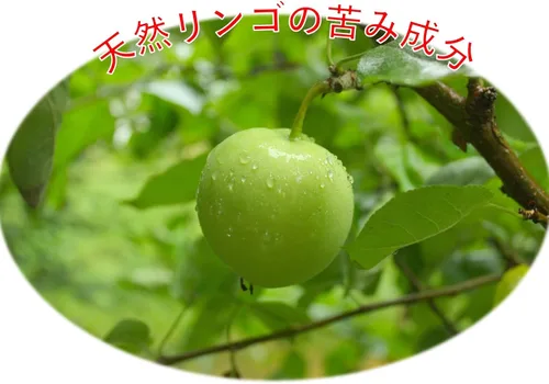 Vista 2 de Espray Grannick's Bitter Apple, 8 onzas, Beige