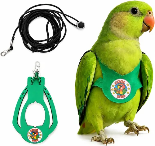 Vista 17 de Juego de arnés ajustable y correa para pájaros pequeños, apto para periquitos, conures, cacatúas, mejillas verdes, loros cuáqueros (verde, XS) 6350-6