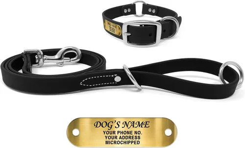 Vista 19 de Regal Dog Products Collar de Perro Naranja Mediano con Placa de Nombre Grabada Personalizada - Ajuste Personalizado, Resistente, Fácil de Limpiar