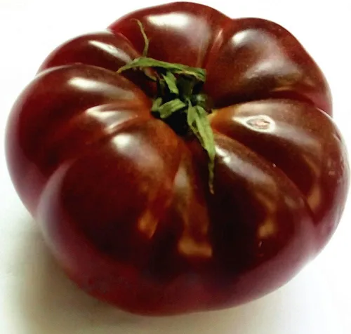 Vista 6 de Semillas de tomate elefante negro - Vegetal de reliquia - Sin OMG