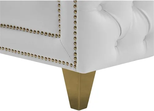 Vista 11 de Meridian Furniture 651White-S Colección Michelle Moderna Sofá contemporáneo con botones profundos, ribete dorado de cabeza de clavo y patas