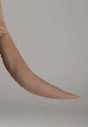 Vista 5 de Disfraz de Nutria para Adultos Talla Plus Multicolor