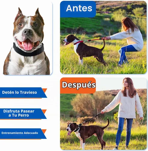 Vista 2 de Supet Collar de punta para perro, collar de estrangulador ajustable para perro con hebilla de liberación rápida/cubierta de nailon para perros Negro