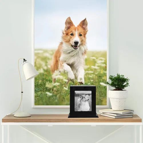Vista 8 de Urna conmemorativa de madera para cenizas, marco de fotos, caja de recuerdo para gatos y perros, suministros de ataúdes funerarios, urnas