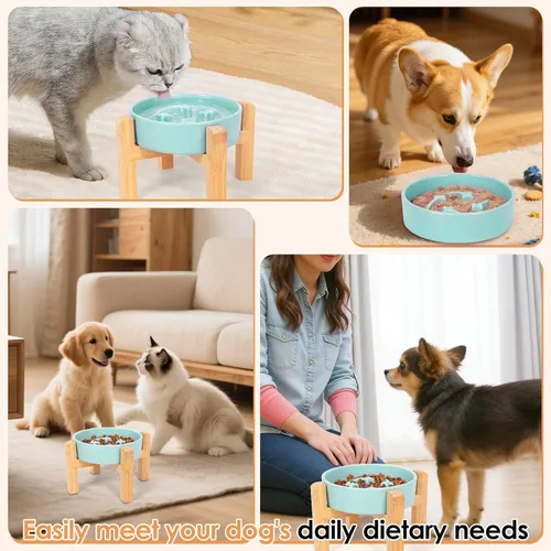 Vista 4 de Cuenco de cerámica para perros de raza pequeña, cuenco de alimentación lenta para perros con soporte de bambú, diseño de laberinto de rompecabezas