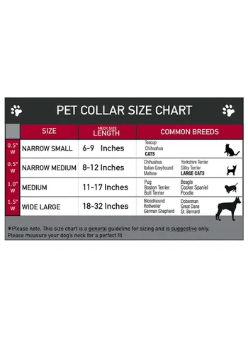 Vista 3 de Collar para Mascotas con Clip de Plástico Estampado Princesa Floral Multicolor