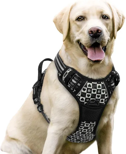 Vista 96 de Rabbitgoo - Arnés para perros sin tirón con 2 clips de correa, chaleco Oxford reflectante acolchado suave ajustable sin estrangulamiento para Beige