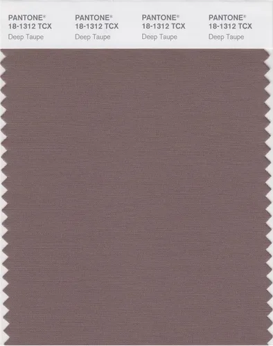 Vista 14 de PANTONE Tarjeta de muestra de color inteligente 18-1314X, bellota