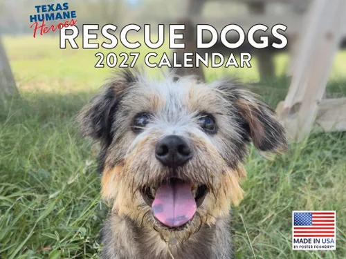 Vista 53 de Calendario mensual de pared Airedale Terrier Dog 2027
