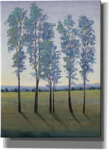 Vista 5 de Epic Graffiti 'Acreage II' by Tim O'Toole, Canvas Wall Art, 12"x16