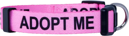 Vista 3 de Native Pup Adopt Me - Collar para perro (talla S, azul)