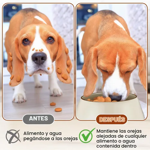Vista 3 de Paquete de 2 cuencos de 37 onzas para perros de orejas largas Beige