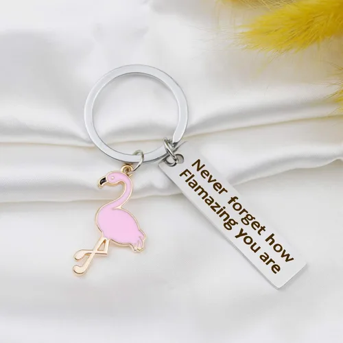 Vista 5 de Llavero motivacional con diseño de flamenco con texto en inglés Never Forget How Flamazing You are, regalo de joyería para amantes de los flamencos