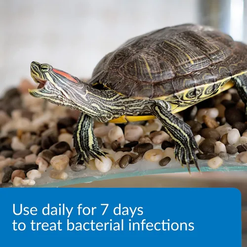 Vista 3 de API TURTLE FIX Remedio para Tortugas sin Bacilos, Botella de 4 onzas