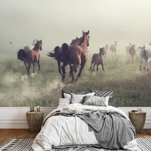 Vista 34 de wall26 - Caballos en el campo - Mural de pared extraíble Papel pintado autoadhesivo grande - 66x96 pulgadas