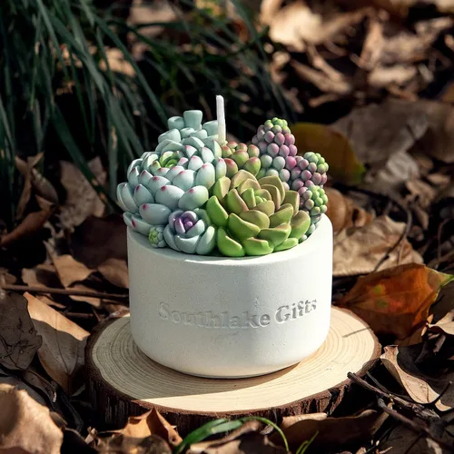 Vista 4 de Surtido suculento olla perfumada vela de cera vegetal para spa decoración del hogar regalo de boda