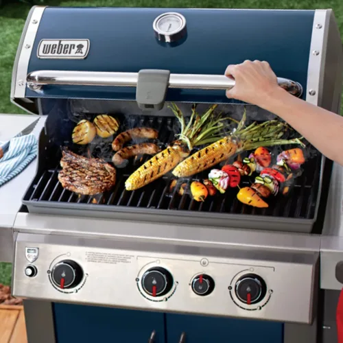 Vista 8 de Hongso Spirit E-210 Piezas de repuesto para parrilla Weber Spirit Serie 200 E210 S210 E215 S215 220, II GS4 E-210 E-220 Grill