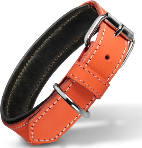Vista 11 de Filbert Collar de cuero para perro, collar de cuero genuino para perros pequeños, acolchado de lujo, fuerte, ajustable para todas las razas, hebilla