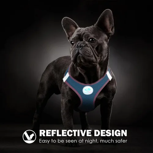 Vista 6 de PHOEPET Arnés para perro, arnés reflectante ajustable para perro, chaqueta suave para caminar para mascotas con 2 ganchos de metal para correa