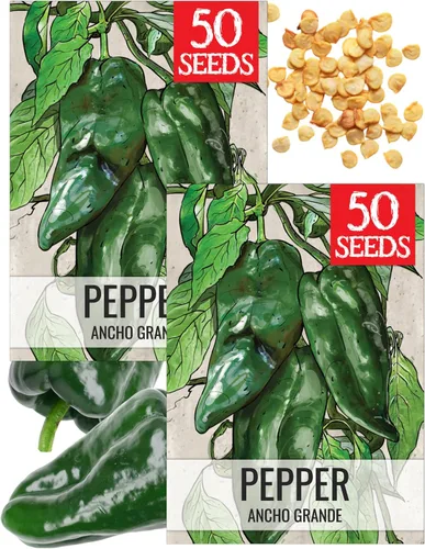 Vista 8 de Seed Needs - Semillas de pimiento arcoíris para plantar verduras, 1 paquete