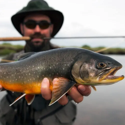 Vista 6 de HERCULES Tippet de pesca con mosca, paquete de 3 con soporte para volquetas, 55 yardas