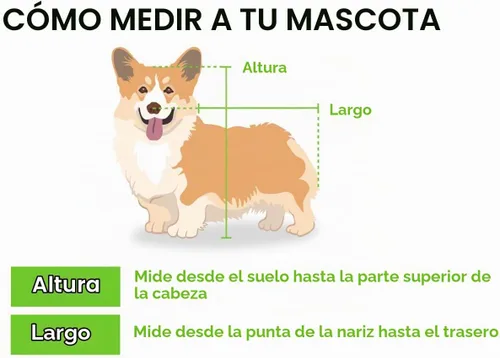 Vista 14 de Petique Razzberry - Cochecito para mascotas, Razzberry, talla única (ST01100103)