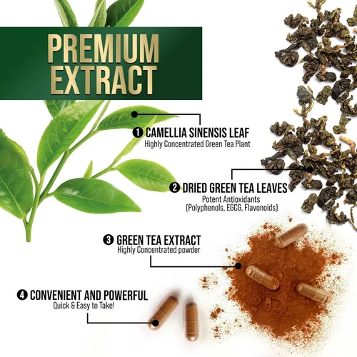 Vista 5 de Extracto de té verde 98% EGCG estandarizado – 3 veces de fuerza para energía natural – Auxiliar cardíaco con polifenoles – cafeína suave, fabricado