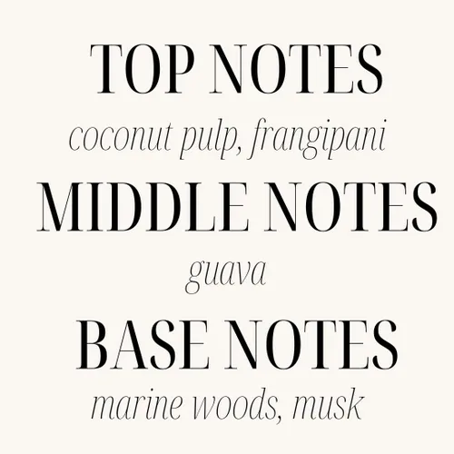 Vista 6 de Sand + Fog Vela perfumada – California Beach House – Aromas y tamaños adicionales – Mecha 100% algodón sin plomo – Velas de lujo para ambientar