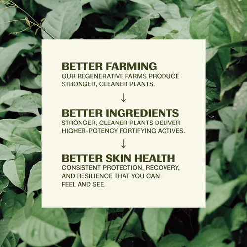 Vista 4 de Thrive Natural Face Wash para hombres – Limpiador facial diario para hombres con ingredientes naturales prémium únicos para el cuidado de la piel
