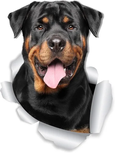 Vista 7 de Winston & Bear Calcomanías divertidas de pared para perros Rottweiler, paquete de 2, calcomanías 3D Rottie para paredes, automóviles, inodoro y más