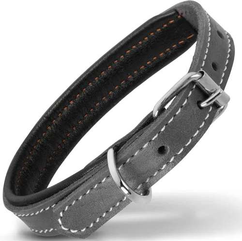 Vista 31 de Filbert Collar de cuero para perro, collar de cuero genuino para perros pequeños, acolchado de lujo, fuerte, ajustable para todas las razas, hebilla
