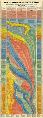 Vista 15 de Histomap of Evolution - Regalos para los amantes de la historia - Póster de aula - Mapa de investigación científica geología genética