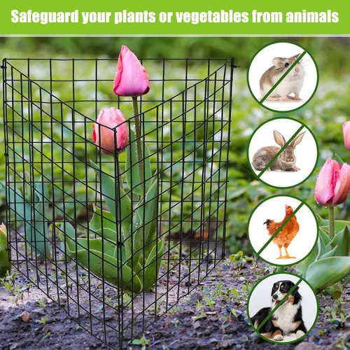 Vista 4 de Zubebe Paquete de 10 protectores de plantas de alambre pequeño, protectores cuadrados para plantas de animales, jaula de malla de alambre de pollo