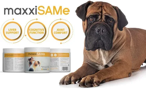 Vista 2 de maxxipaws SAM-e Digest Bundle – MaxxiSAMe Advanced SAM-e Apoyo SAM-e para perros y maxxidigest+ suplemento digestivo e inmunológico canino