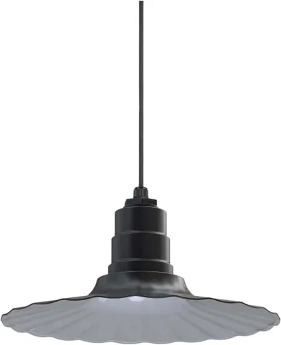 Vista 55 de Steel Lighting Co. Colgante Eagle Rock Lámpara montada en el techo Onda radial de 16 pulgadas vástago de 12 pulgadas Acero resistente