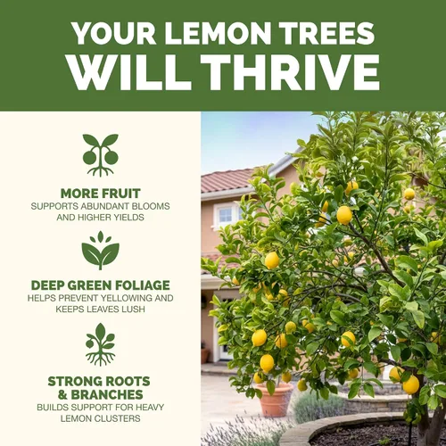 Vista 2 de Abono para Árbol de Limón, Alimento Completo para Plantas de Árbol de Limón, 8 oz (250mL)