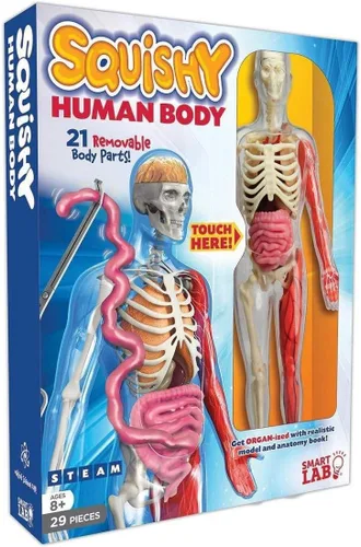Vista 3 de SMARTLAB Toys Cuerpo humano blando con 21 partes removibles y libro de anatomía