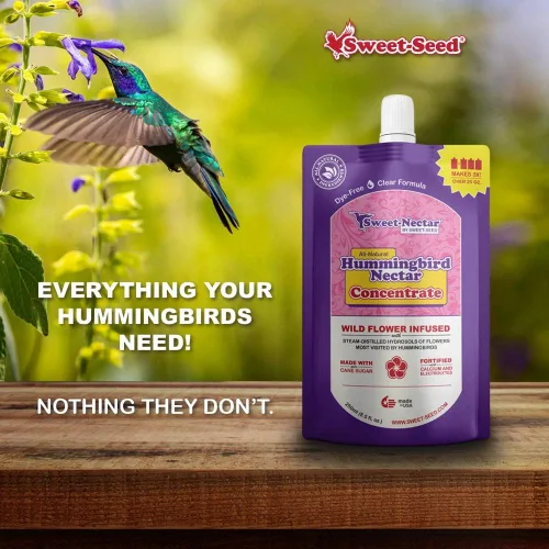 Vista 5 de sweet-seed Néctar de colibrí, concentrado (8.5 onzas), hace 3 veces el volumen, prolonga la vida útil del néctar para comederos de colibríes
