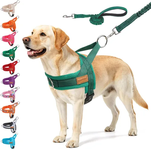 Vista 52 de BEAUTYZOO Arnés para Perros Pequeños, Juego de Arnés y Correa sin Tirones, Arnés de Pecho para Cachorros a Prueba de Escapes con Mango, Arnés Beige
