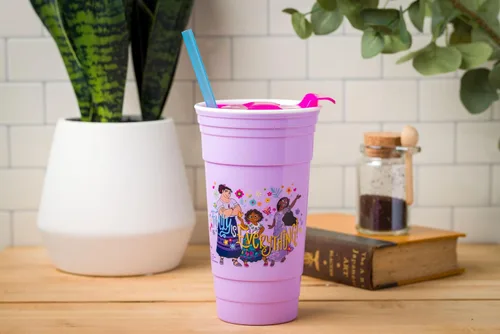 Vista 5 de Silver Buffalo Disney Encanto Family is Everything - Vaso de plástico de 32 onzas con tapa y popote