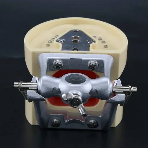 Vista 9 de Typodont - Poste de montaje para dientes modelo ajustable de 360 grados en el escritorio, compatible con Kilgore Nissin Columbia Dentoform Frasaco