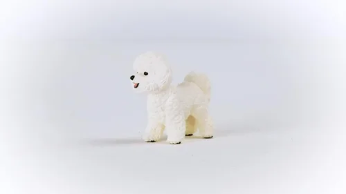 Vista 3 de Schleich Farm World - Figura de perro de juguete Bichon Frise - Juguetes de animales de granja para niños y niñas - Niños a partir de 3 años
