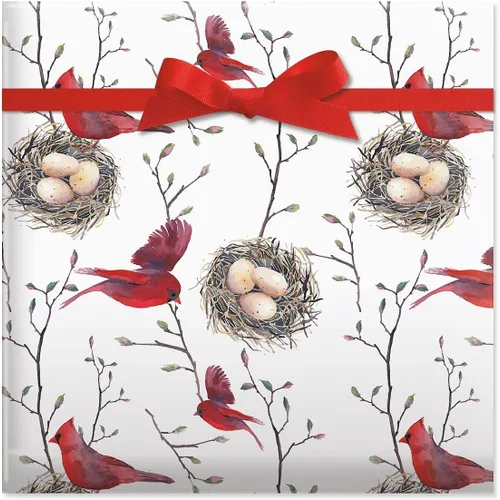 Vista 11 de Birch rollo gigante de papel de regalo – 72 sq ft.